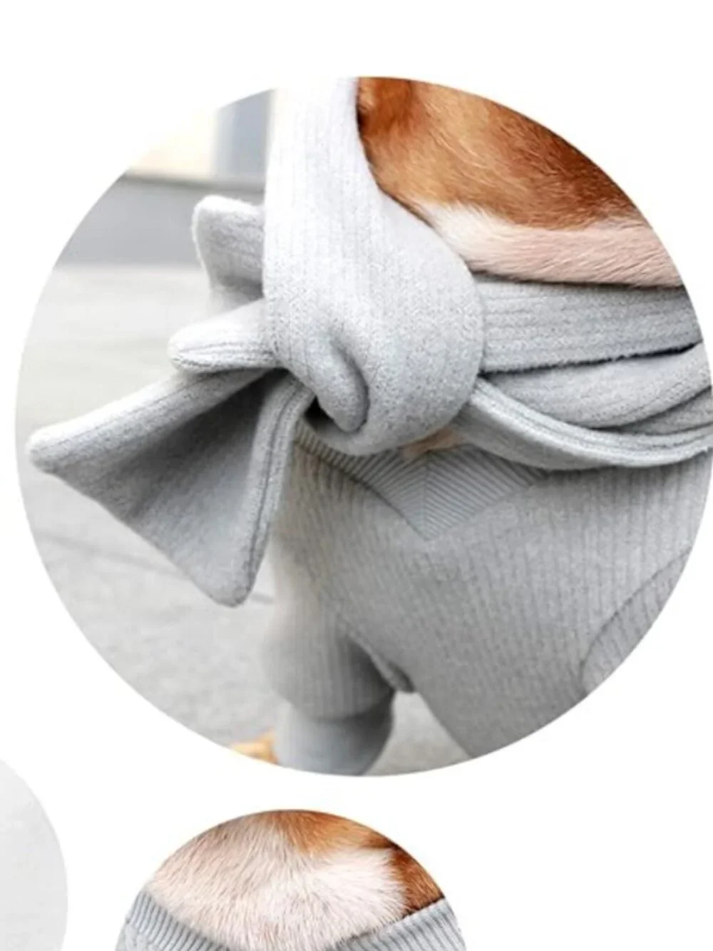 iChoue Tan Dog sweater & scarf set- Like/Make an offer for discounted shipping!